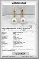 Ohrhnger mit Perlen bequem online bestellen 